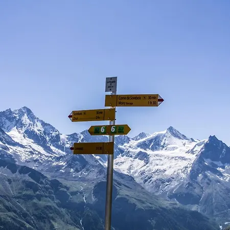 Alpina - Swiss & Bike Lodge *