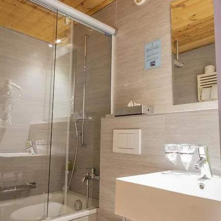 Alpina - Swiss & Bike Lodge Grimentz