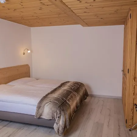 Alpina - Swiss & Bike Grimentz