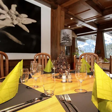 Alpina - Swiss Ski&bike * Grimentz