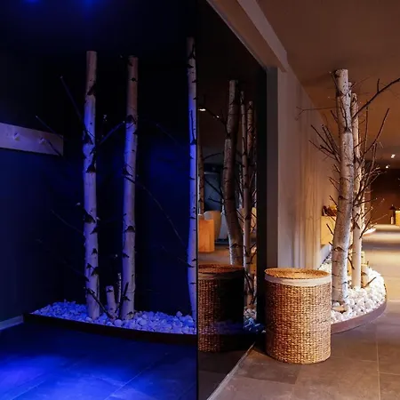 Alpina - Swiss Ski&bike * Grimentz