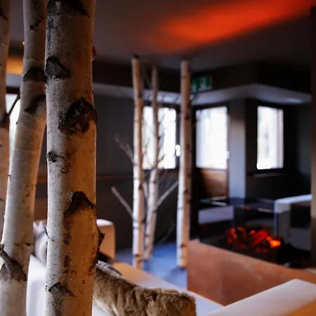 Lodge Alpina *