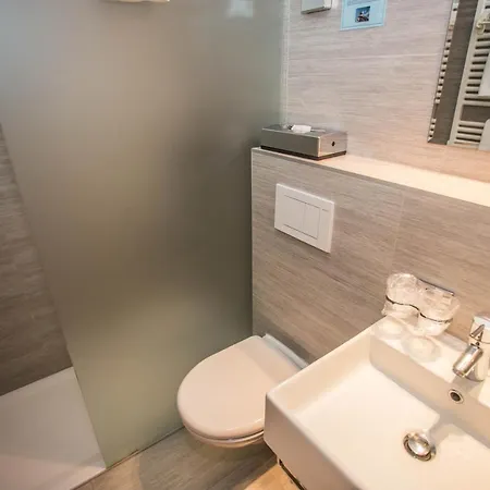 Alpina - Swiss Ski&bike Lodge *