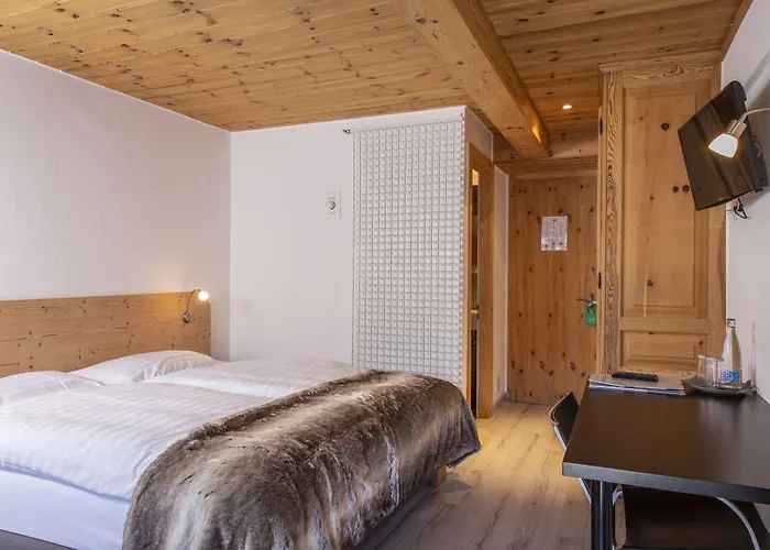 Alpina - Swiss Ski&bike Grimentz