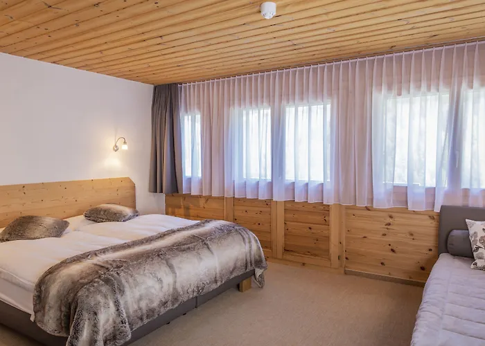 Alpina - Swiss Ski&bike Lodge *