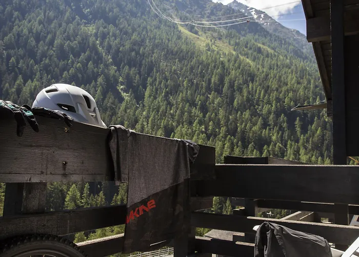 Alpina - Swiss & Bike Grimentz