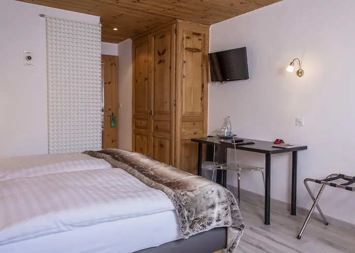 Alpina - Swiss Ski&bike Grimentz