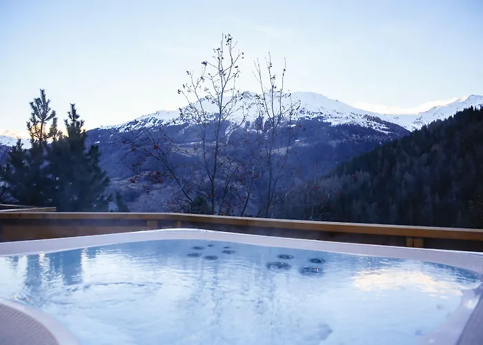 Alpina - Swiss Ski&bike *