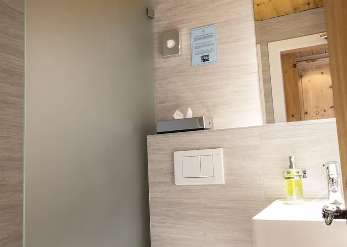 Alpina - Swiss Ski&bike *