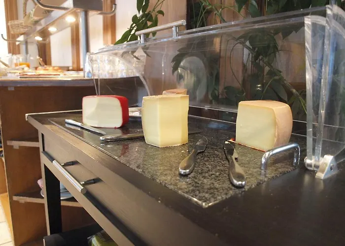 Alpina - Swiss Ski&bike *