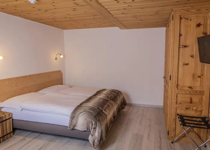 Alpina - Swiss Ski&bike Grimentz