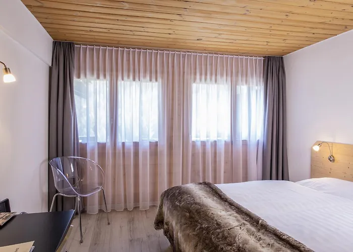 Alpina - Swiss Ski&bike