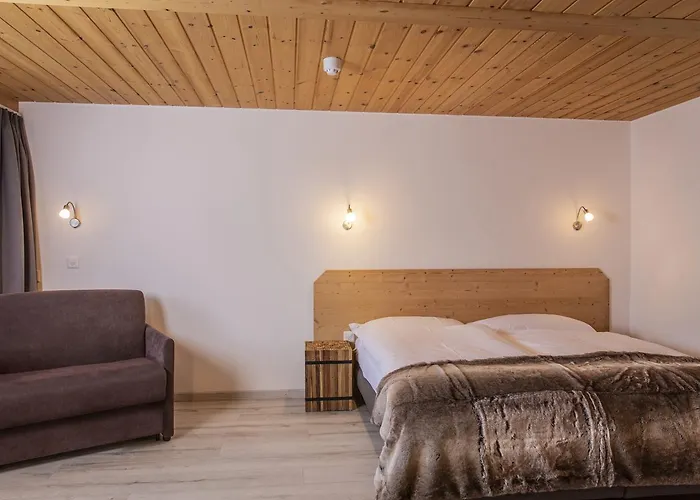 Alpina - Swiss Ski&bike *