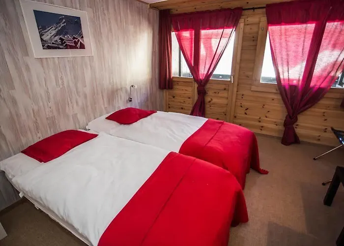 Alpina - Swiss Ski&bike Lodge *