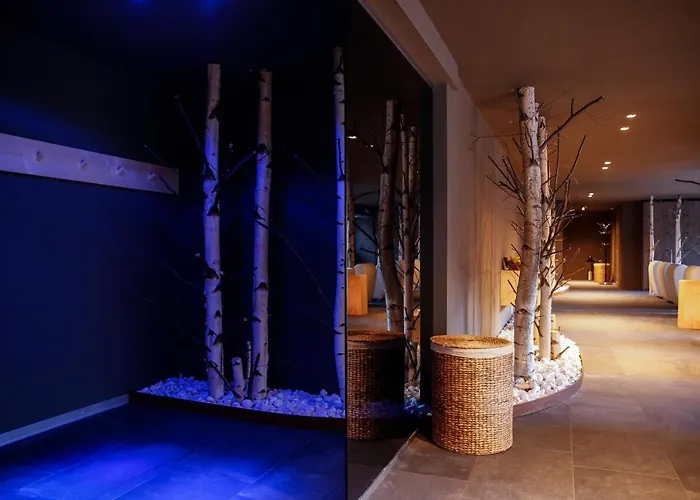 Alpina - Swiss Ski&bike * Grimentz