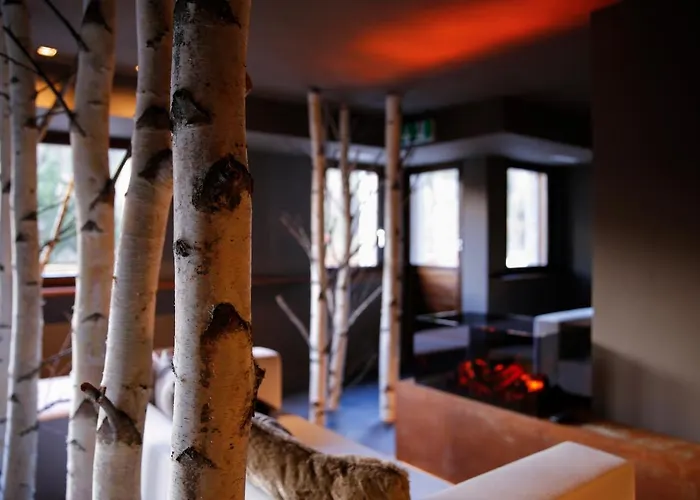 Lodge Alpina - Swiss Ski&bike *