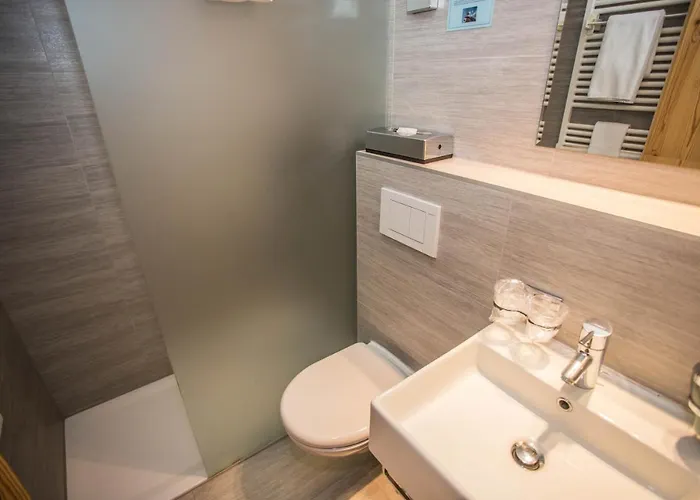 Alpina - Swiss Ski&bike Lodge *